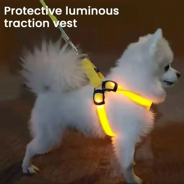 LED Light-Up Dog Harness